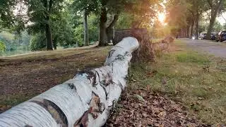 Swanshurst park Birmingham #yardleywood#hallgreen#kingsheath#travel