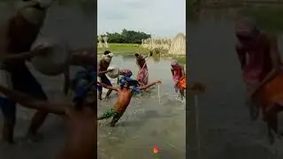 Dasi dance video ,...........