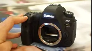 Canon EOS 6D Mark II 6fps Continuous Shooting (Shutter Sound)