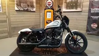2019 Harley-Davidson Sportster Iron 1200 XL1200NS - Billiard White.