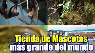 La Tienda de Mascotas más grande del mundo