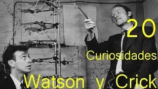 20 Curiosidades sobre Watson y Crick