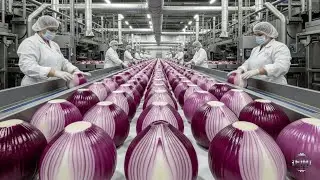 Inside the Largest US Factory: From Raw Onions to Premium Powder (Full Process)