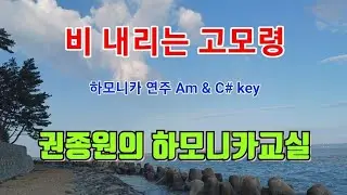비 내리는 고모령 - 하모니카 연주