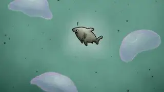 Tasty Planet Forever ( level 3 ) Shark 