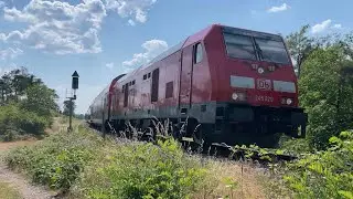 Br 245 + 3 Doppelstockwagen (DB Regio, Hessentags-Sonderzug)