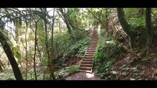 A Walk through the Hunua Falls Track 😊
