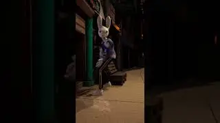 Janky wanted to celebrate 100k subscribers&hellip; Guggimon had other plans