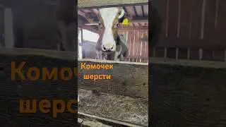 16 марта 2025 г.