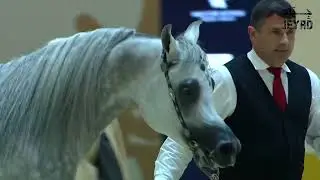 EKS SIRAJJ