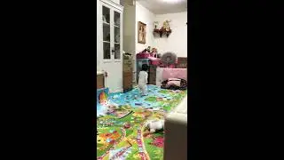 สามพี่น้องฝาแฝดเขาเล่นกัน Triplets | 3 Cher Family