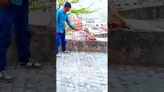 game of happiness ☺️🤗😎🌍#viral #youtubeshort #the real life