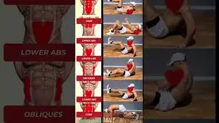 6 Easy Core Workout Exercises for Abs (Beginner Friendly)