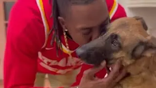 Dwight Howard mourning the loss of his Dog Sunday | Dwight Howard demands justice & Cause of death