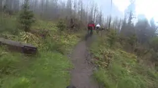 Mountainbike.be - Shortbike @ Rothau - 3 Singletrack descent