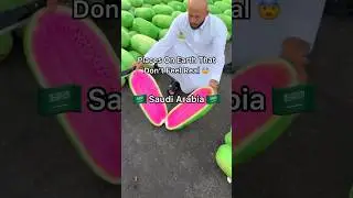 Places in Saudi Arabia that don&rsquo;t feel real #travel #nature #adventure #mecca #saudiarabia #explore