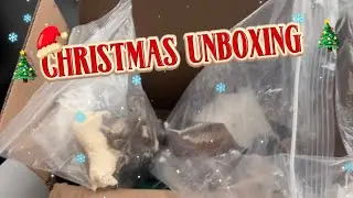 Schleich Christmas unboxing 