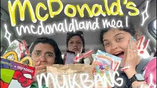McDonald&rsquo;s MCDONALD LAND mukbang in car | TRAGIC ENDING!!!