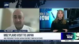 The motivation behind Japan's last moves relating to Syria and the UAE