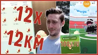 HATCHING 12x 12km EGGS & SHINY GALARIAN ZIGZAGOON HUNTING IN POK&Eacute;MON GO!