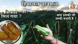 HP #8 || हिमाचली रेसिपी लंकू के पकोड़े | Lonku/Lanku Ke Pakode, Ek nayi sabji