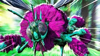 FIXING BROKEN Queen Bees Inside ARK | RAGNAROK Ep10