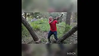 TIMBER!!!!!!