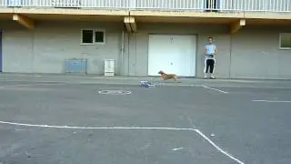 rcdrifters.nl -  TunersUnited trf416 testrun