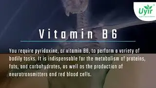 What We Wish Everyone Knew About Vitamin B6!