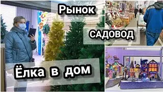 🔥Первые Новогодние покупки☃️Рынок САДОВОД🎄Ёлка в дом