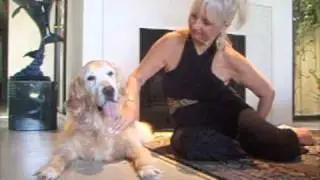 A Story of Woton a Desert Guide Dog Saved From Hip Dysplasia