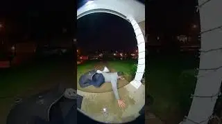 🐟😱 Dragged Away by Stingrays?! Shocking Ring Doorbell Footage!