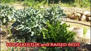 Garden tour   FRUIT TREE FOOD FOREST, HUGELKULTUR  and PALLET WOOD RAISED BEDS