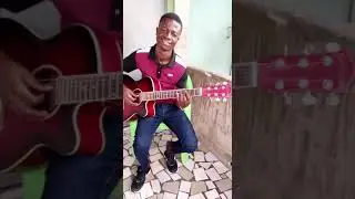 Didson guitar 🎸