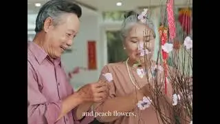The Beauty of Tet (Vietnamese New Year) in Vietnam | Compiled from multiple sources
