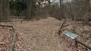 A Calm Walk Through the Brooklyn Botanic Garden | Urban Nature