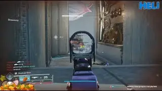 HUNTING FOR SPOOKY SHINY GOD ROLLS! (Heli Stream 23 October 2025)