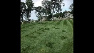 MTM Lawn & Pest Fertilization & Weed Control, Mosquito & Tick Control, Loam & Seeding, Putting Green