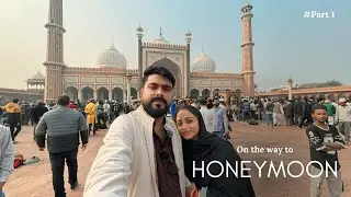দিল্লি ঘুরে নিলাম || way to Manali || part 1