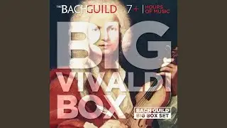 Piccolo Concerto in C Major, RV443: iii. Allegro molto