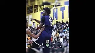 2026 4STAR MANNY GREEN LABWORK