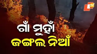 Forest Fire Rages in Keonjhar's Champua Woodlands, Threatens Nearby Village