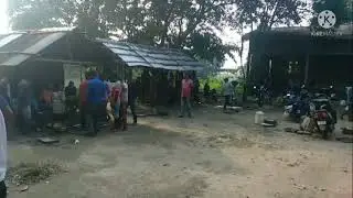 Wholesale Fish Market  in Chandrapur, Guwahati Assam