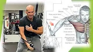 Cruces para PECHO en Polea alta UNILATERAL