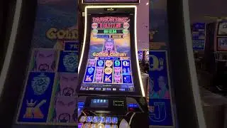 HIT NETWORK GOLDEN CENTURY #hardrockcasino  #slot
