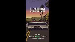 DJ Dysfunkshunal - Peace Of Mind album teaser (August 30th 2024)