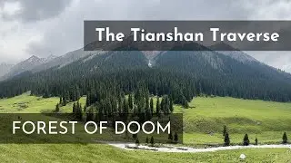 Trapped in the Forest of Doom: Our Sketchiest Day Yet