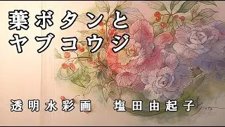 【透明水彩画】葉ボタンとヤブコウジ