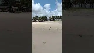 Praiinha da baia da trai&ccedil;&atilde;o. #music