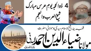 Qutb e Madina Allama Ziauddin Madni By Maulana Muhammad  Shehzad Qadri Turabi